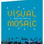 visual_mosaic ravenna video contest